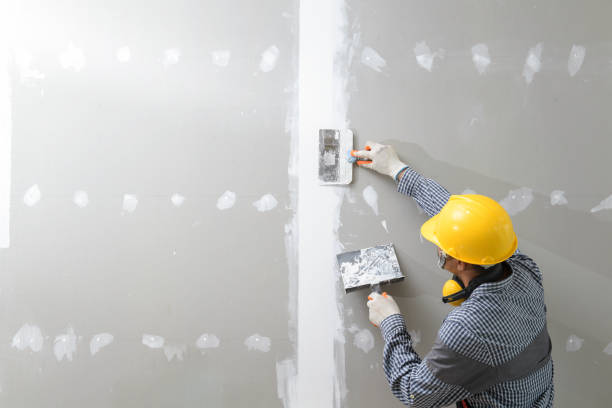 Best Emergency Mold Remediation  in Osceola, AR