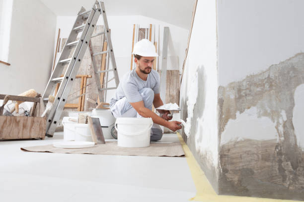 Best Basement Mold Removal  in Osceola, AR