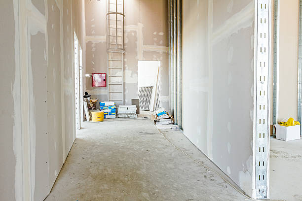 Best Real Estate Mold Inspection  in Osceola, AR